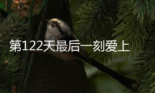 《别闹，薄先生！》全文在线阅读