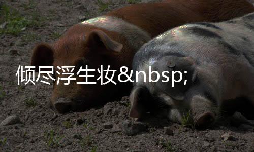 《许你万丈光芒好》全文在线阅读