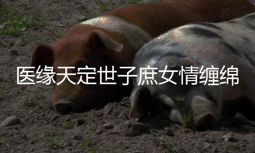 《嫁绝嗣长官，好孕作精在七零躺赢》全文在线阅读