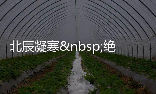 《夫人你马甲又掉了》全文在线阅读
