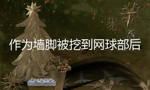 《恰似寒光遇骄阳》全文在线阅读