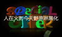 人在火影今天野原