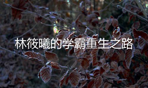 《闪婚七零：随军养崽暴富了》全文在线阅读