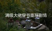 满级大佬穿书重写