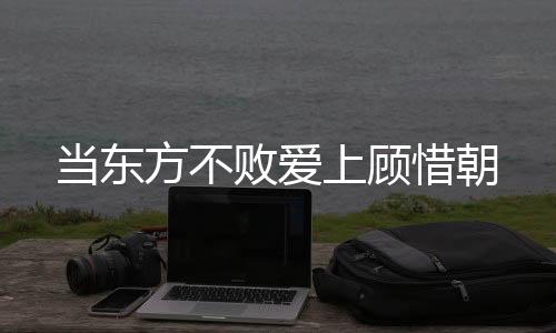 《港夏烈吻》全文在线阅读