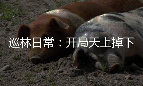 《腰软知青在年代和忠犬糙汉贴贴》全文在线阅读