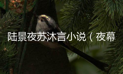 《致命偏宠》全文在线阅读