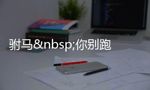 驸马 你别跑